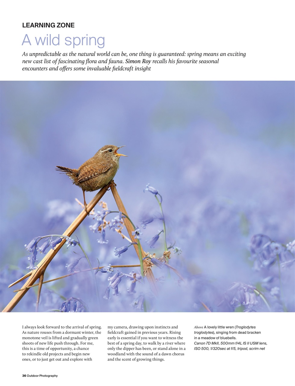 Outdoor Photography Preview Pages