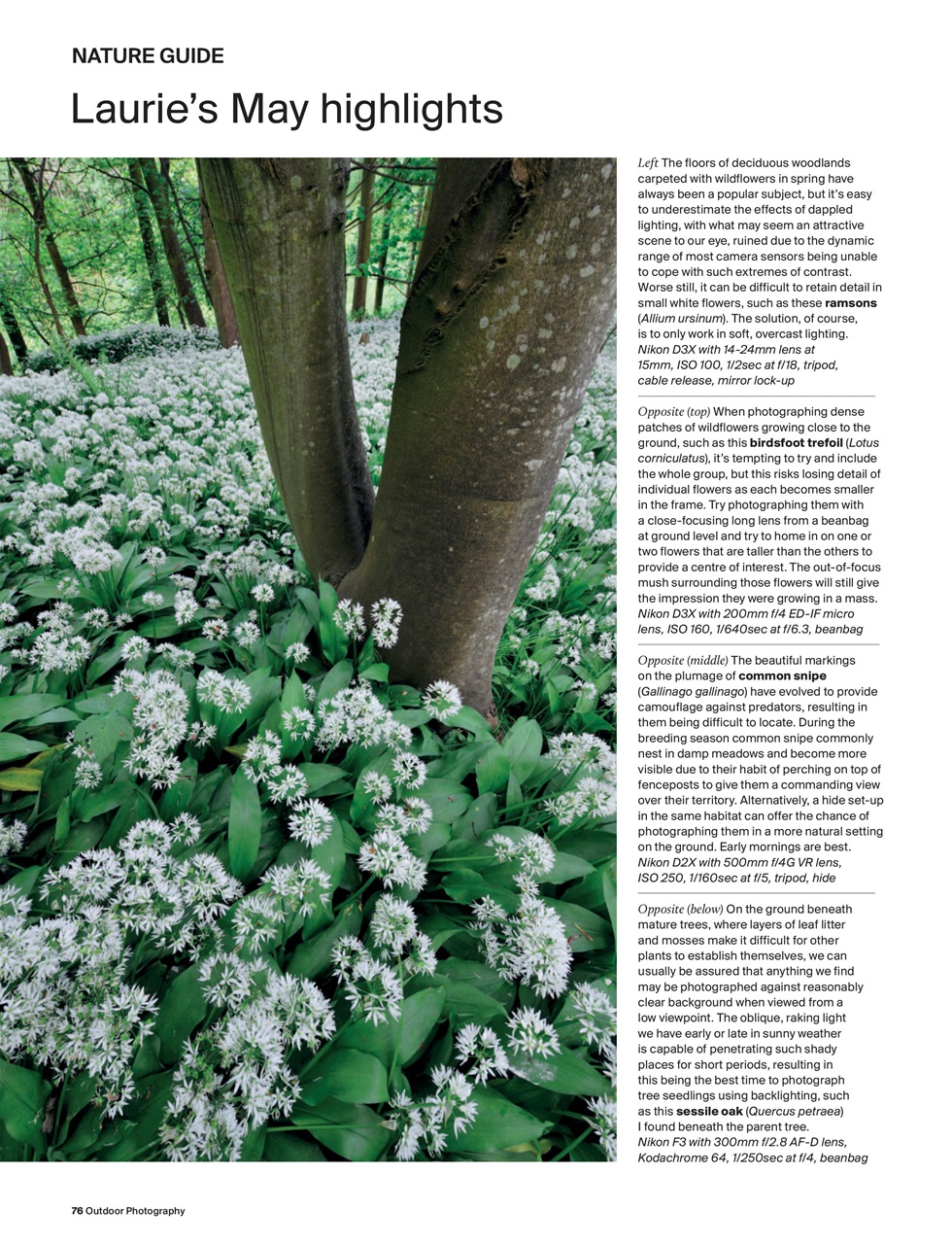 Outdoor Photography Preview Pages