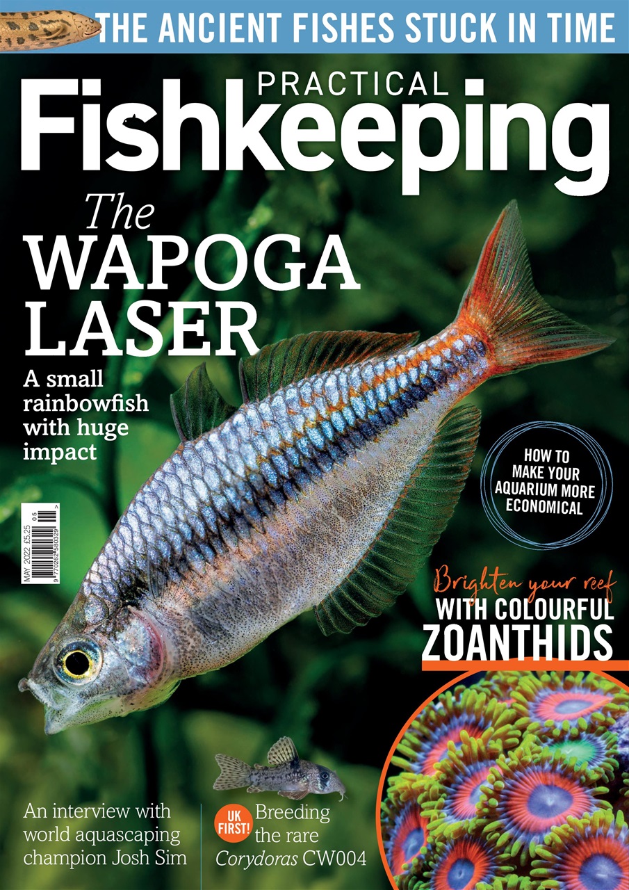 Practical Fishkeeping Preview Pages