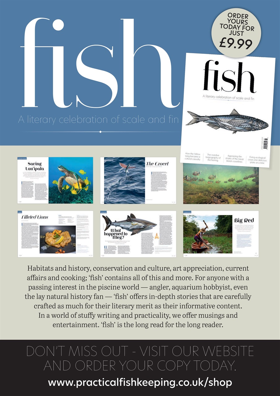 Practical Fishkeeping Preview Pages