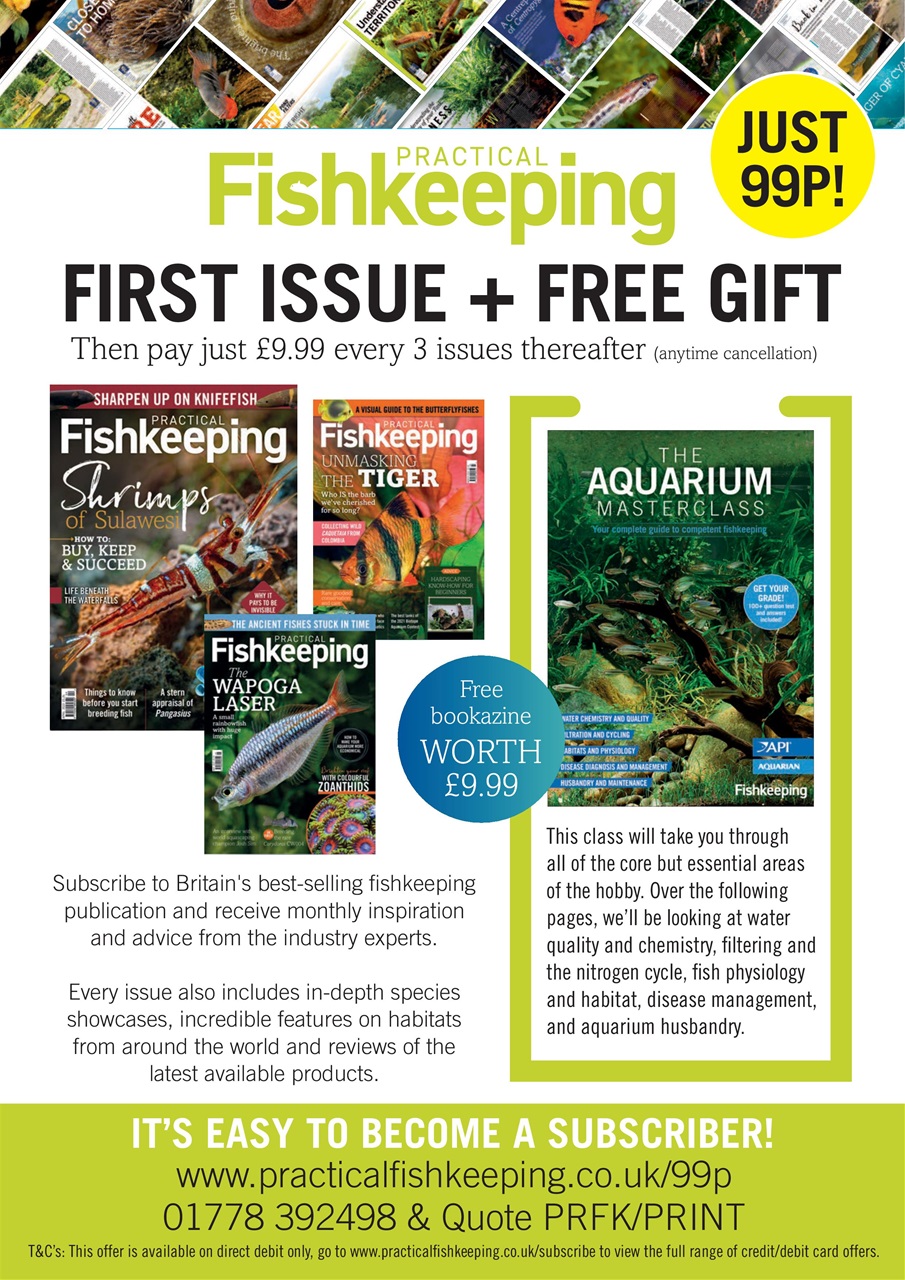 Practical Fishkeeping Preview Pages