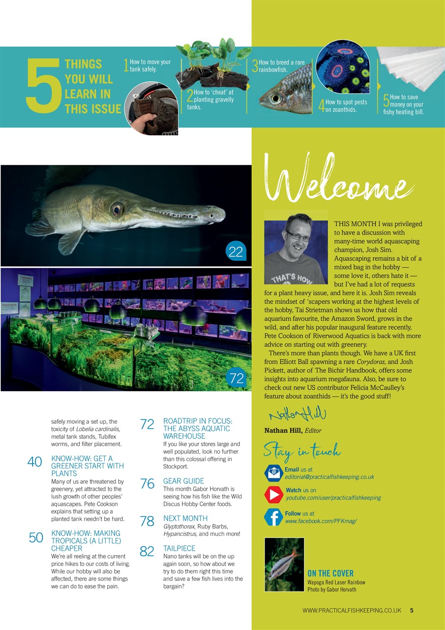Practical Fishkeeping Preview Pages