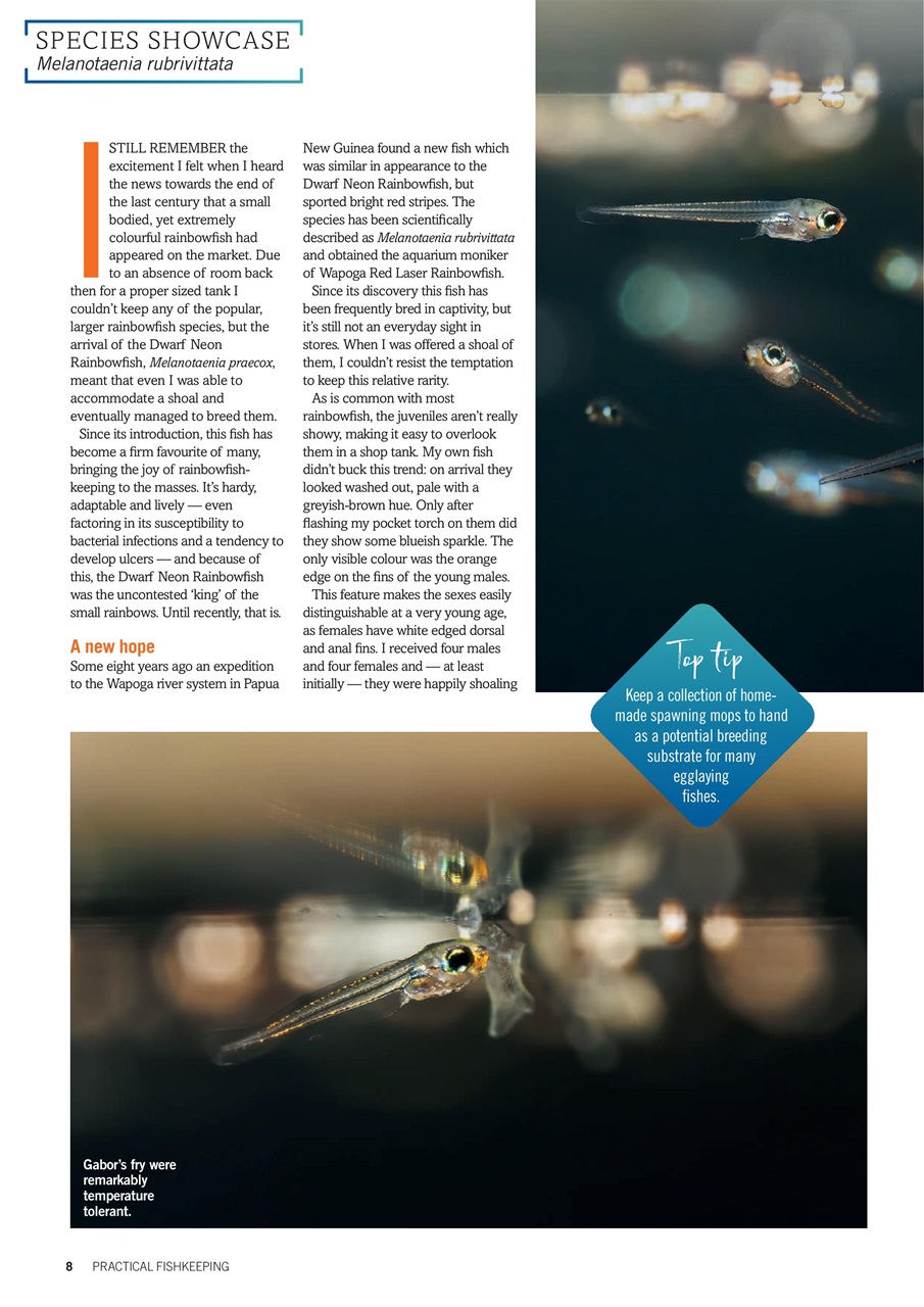 Practical Fishkeeping Preview Pages