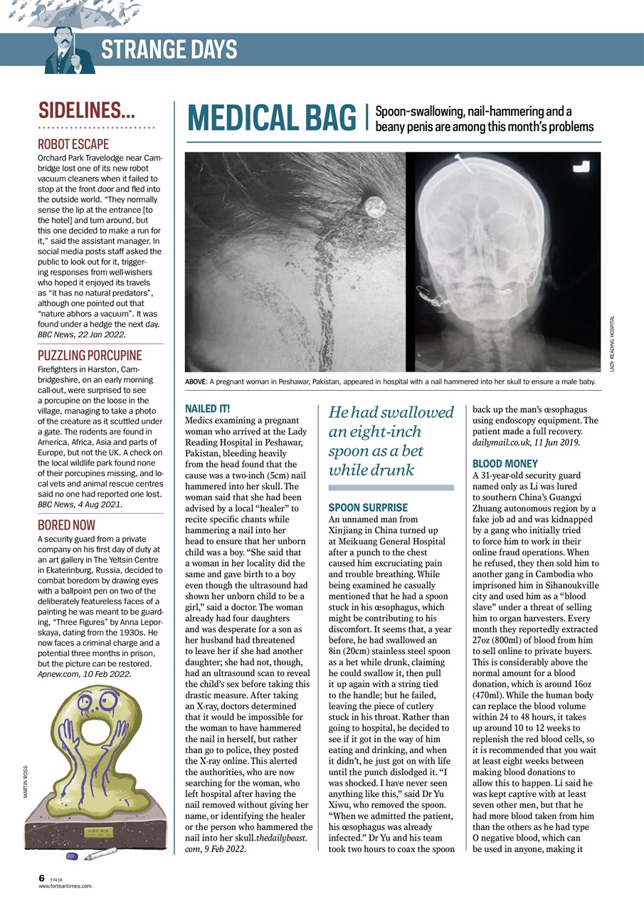 Fortean Times Preview Pages