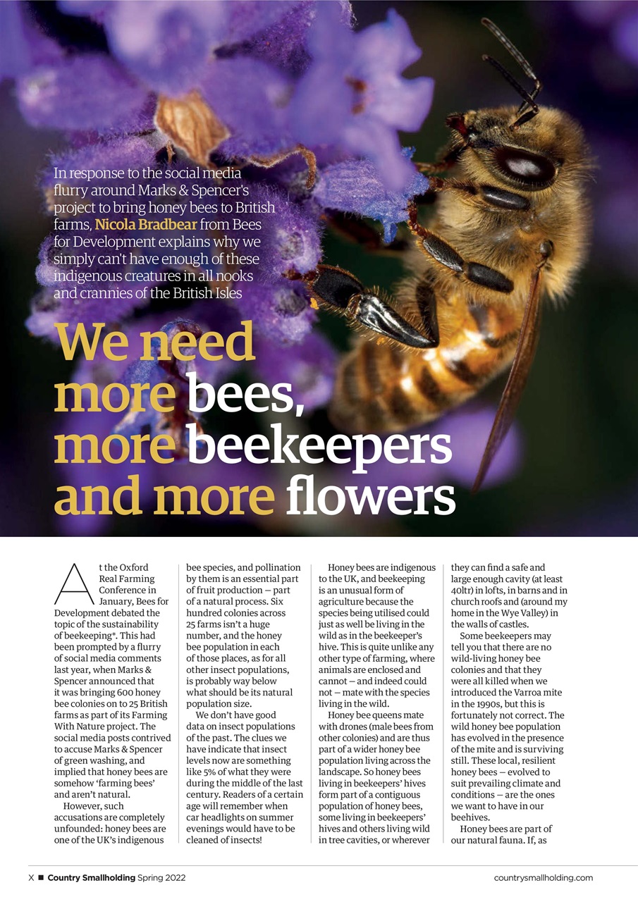 The Country Smallholder Preview Pages