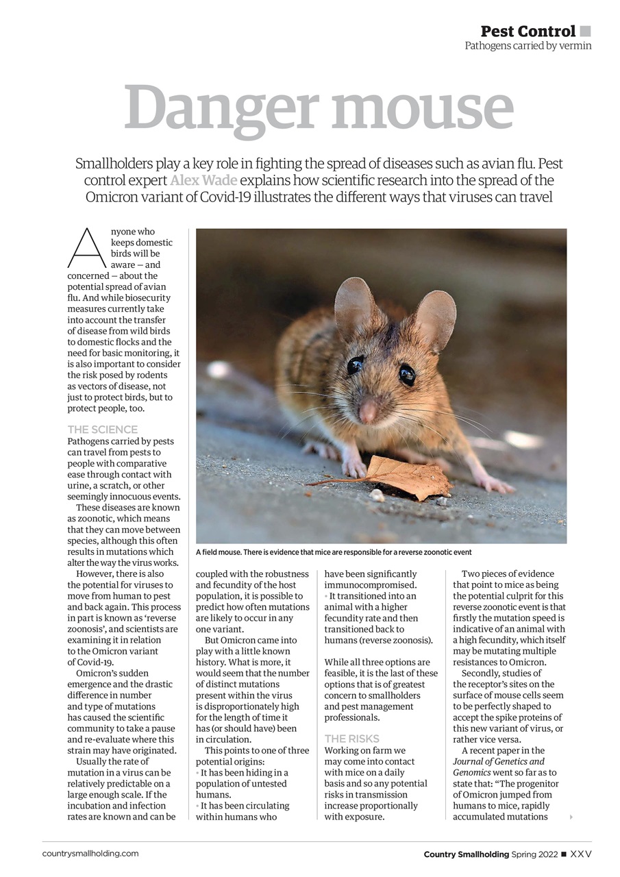 The Country Smallholder Preview Pages