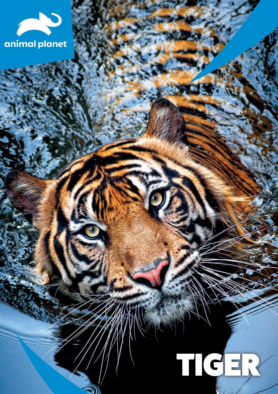 Animal Planet Kids Preview Pages