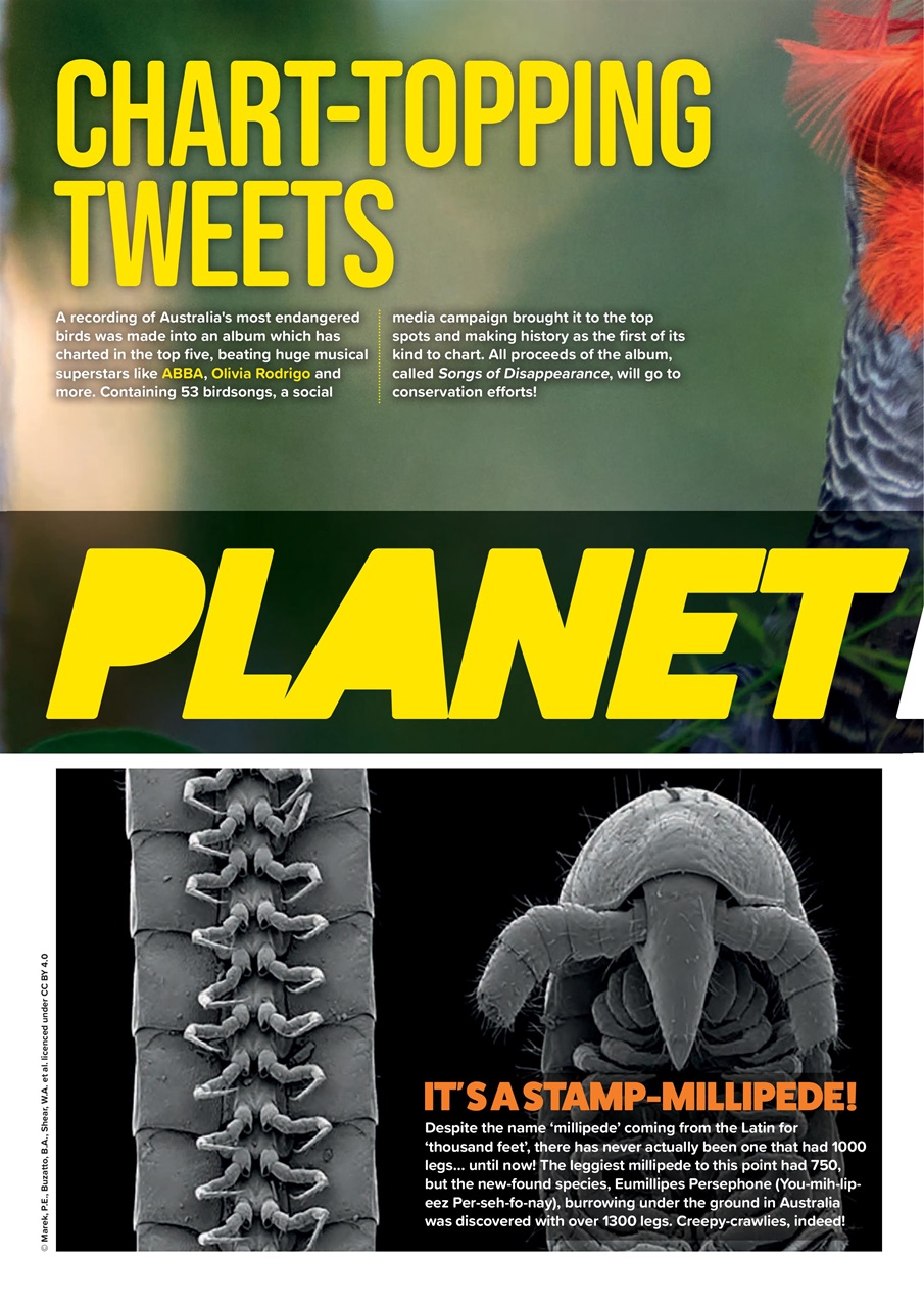 Animal Planet Kids Preview Pages