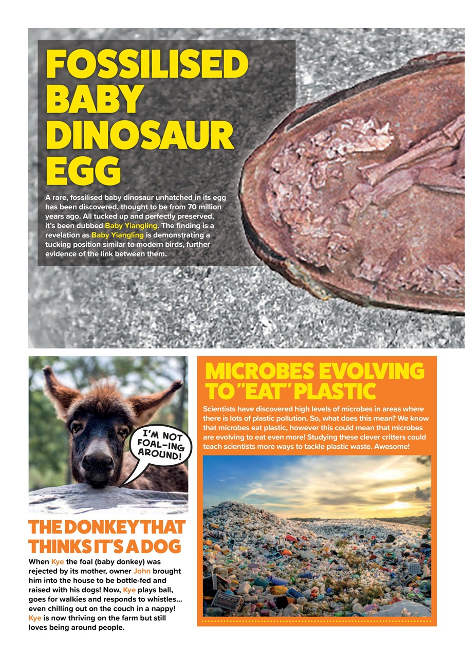 Animal Planet Kids Preview Pages