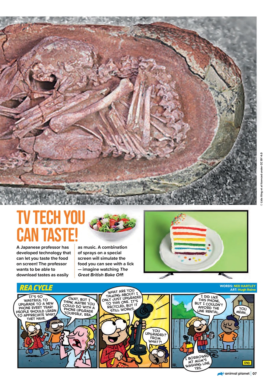 Animal Planet Kids Preview Pages