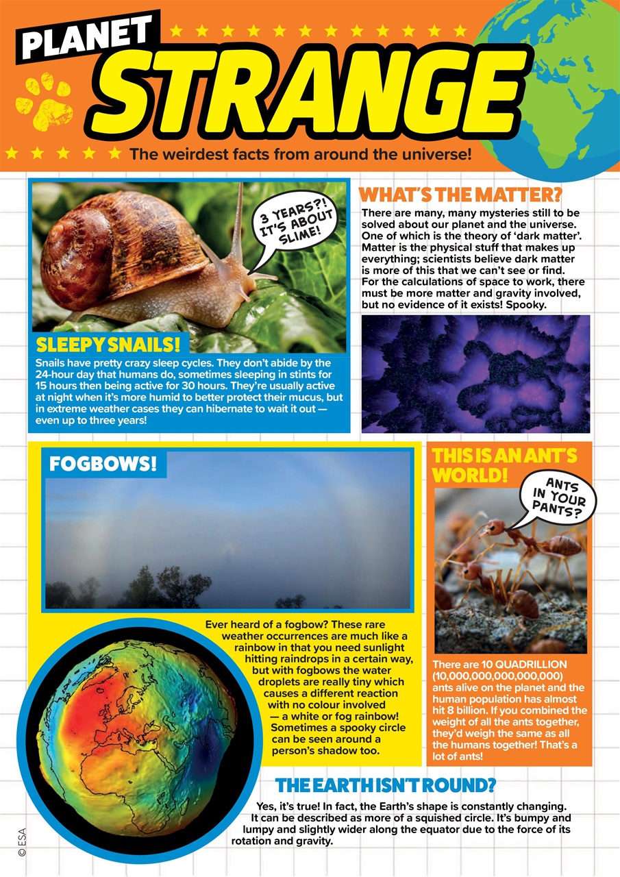 Animal Planet Kids Preview Pages