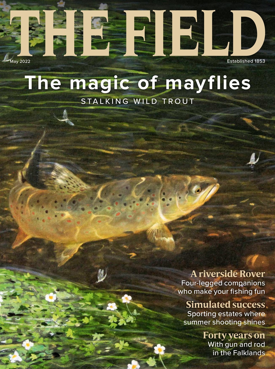 The Field Preview Pages