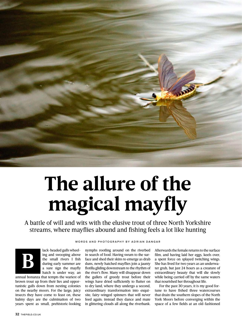 The Field Preview Pages