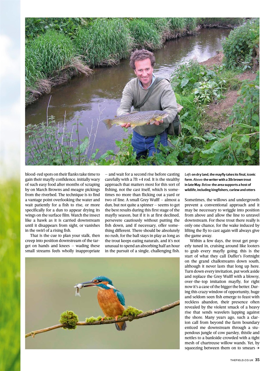 The Field Preview Pages