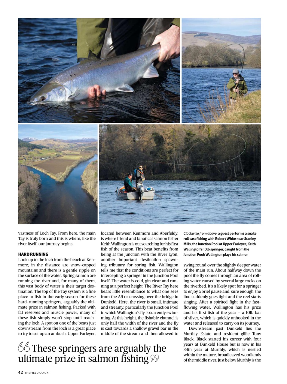 The Field Preview Pages