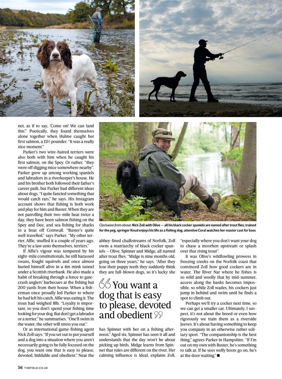 The Field Preview Pages