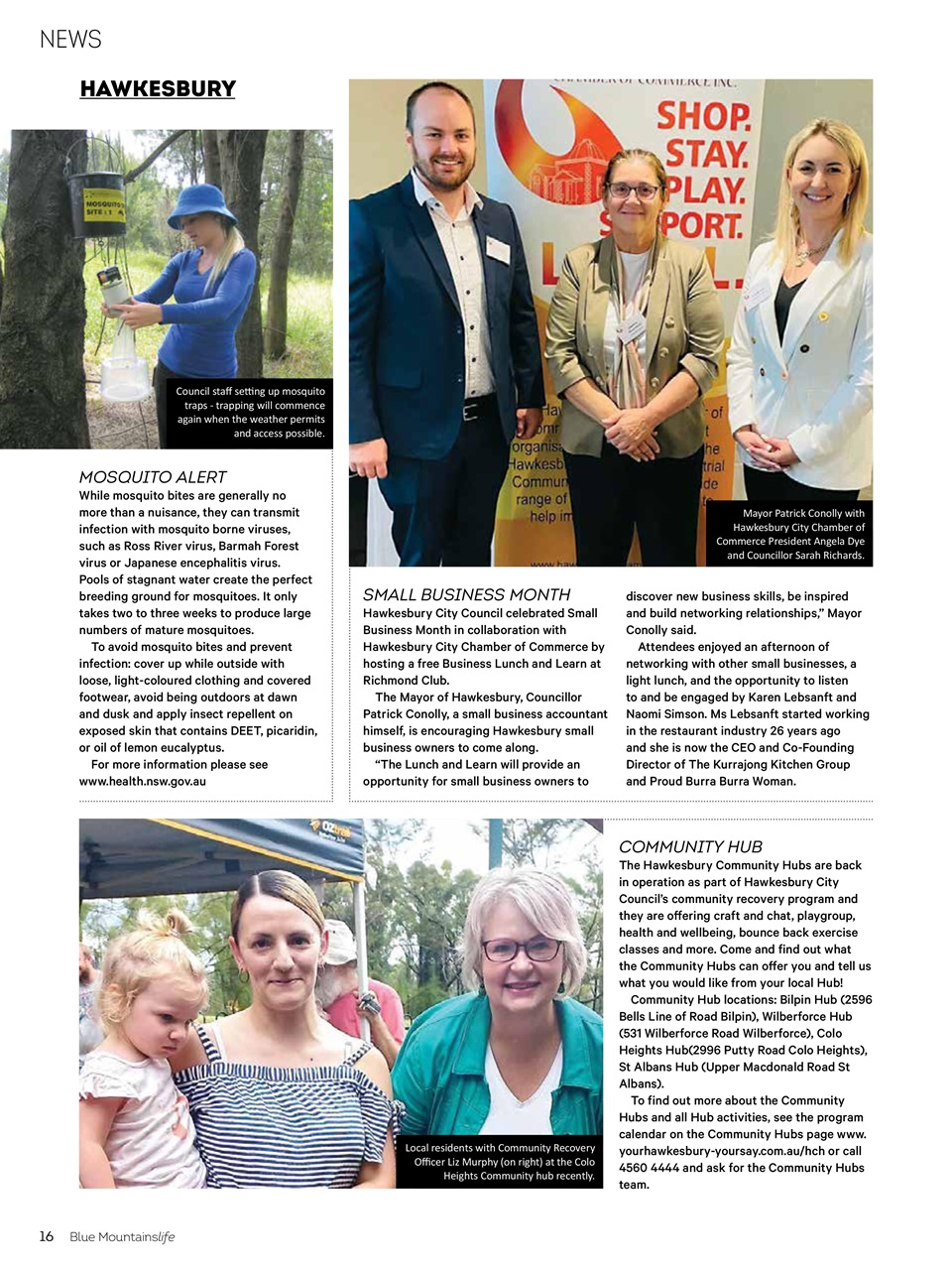 Blue Mountains Life Preview Pages