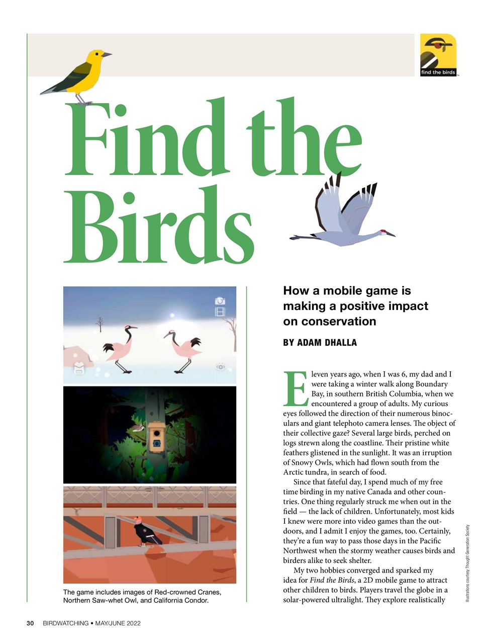 BirdWatching Preview Pages