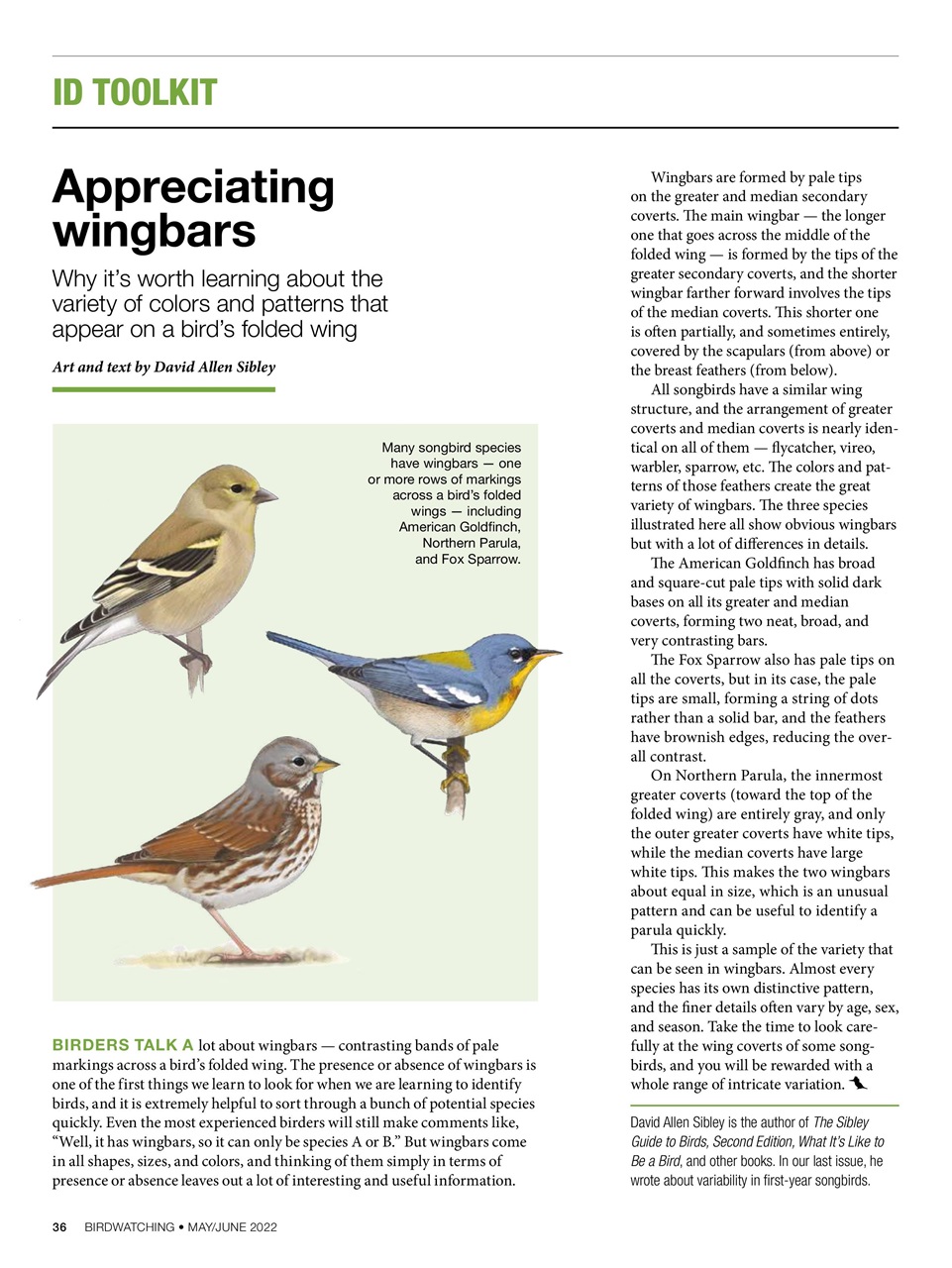 BirdWatching Preview Pages