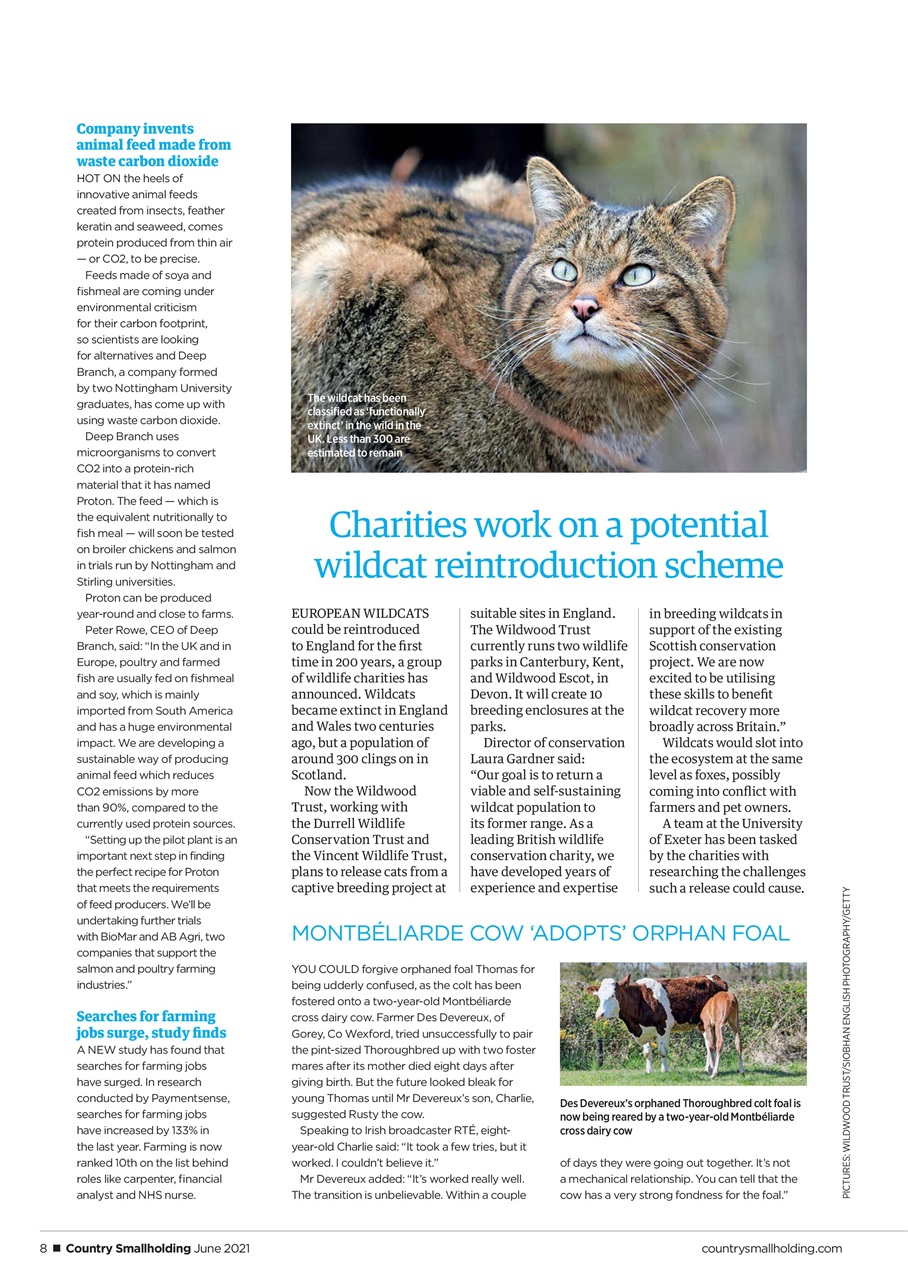 The Country Smallholder Preview Pages