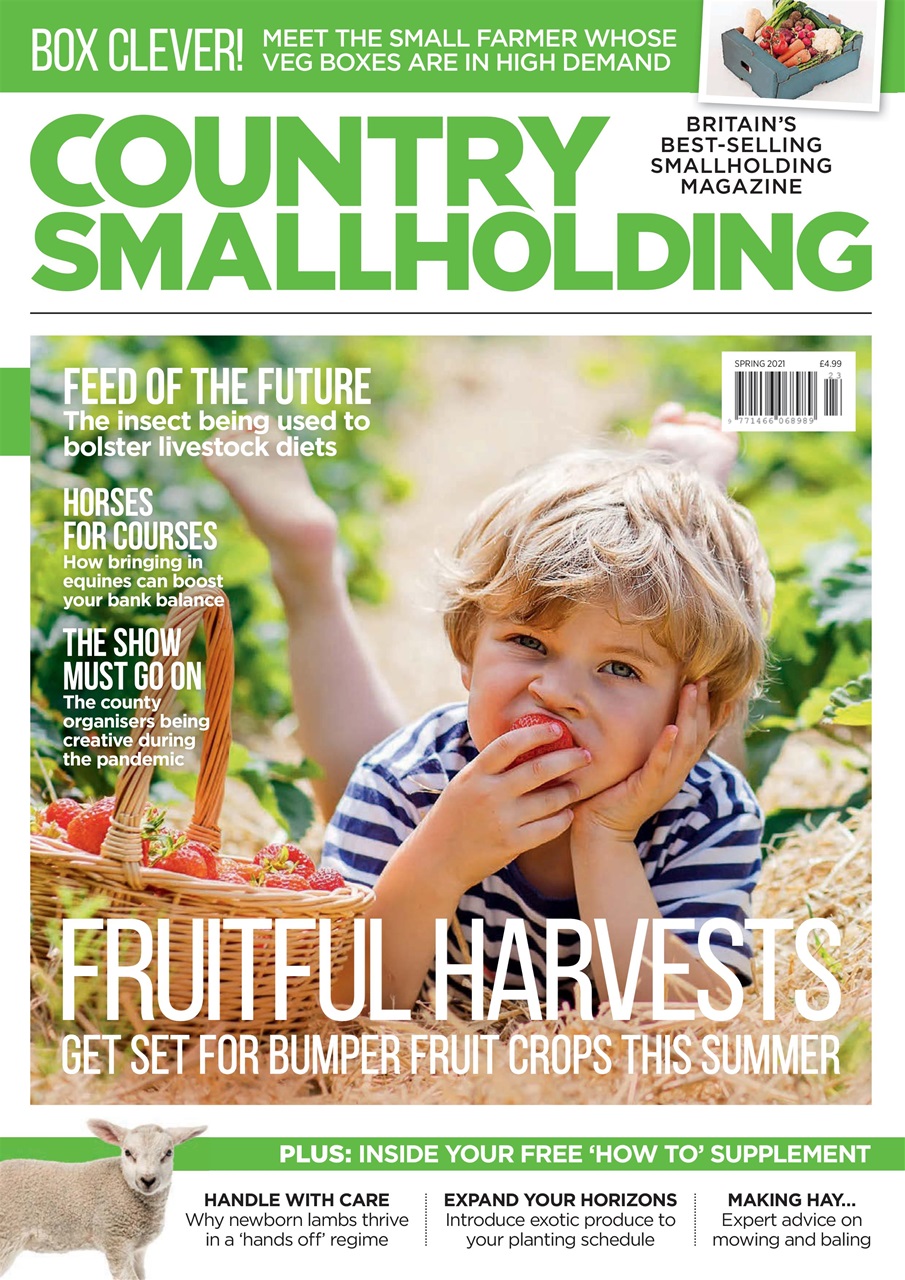 The Country Smallholder Preview Pages