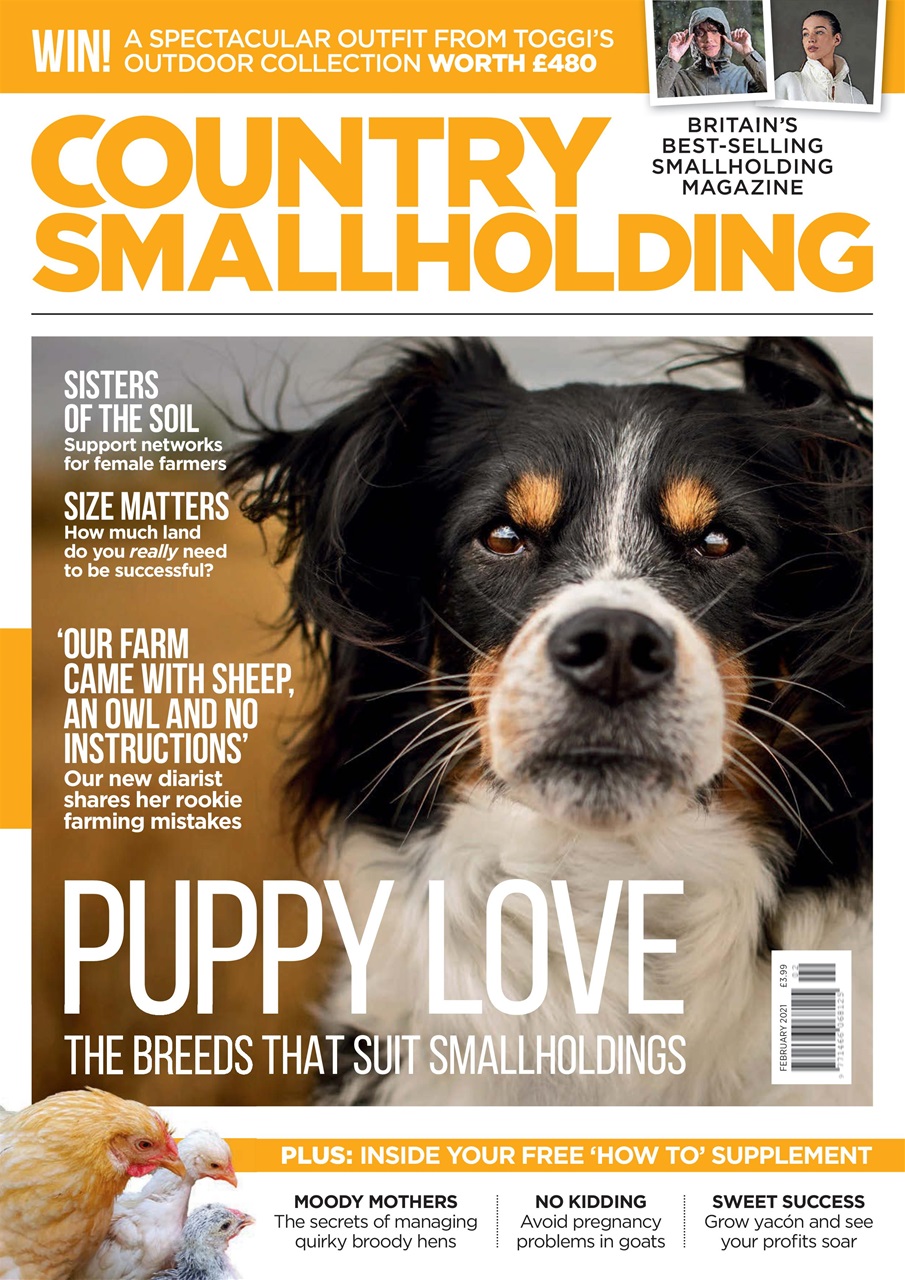 The Country Smallholder Preview Pages