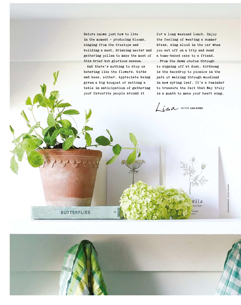 The Simple Things Preview Pages