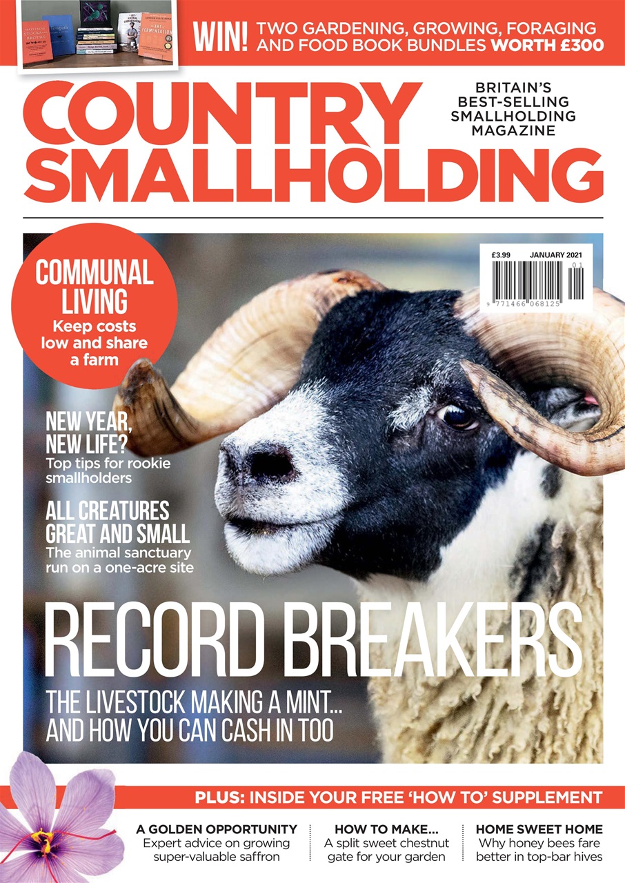 The Country Smallholder Preview Pages