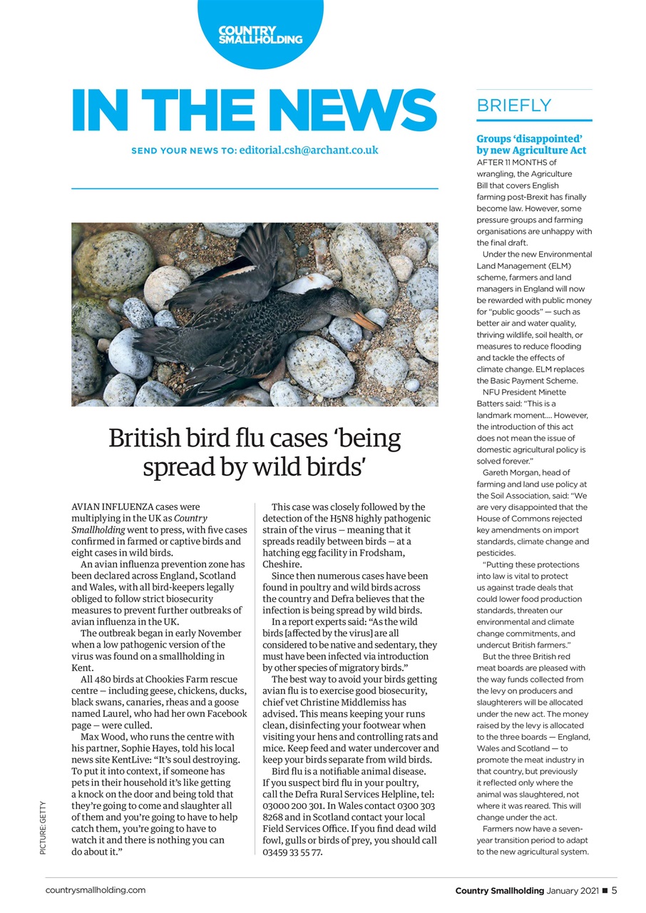 The Country Smallholder Preview Pages