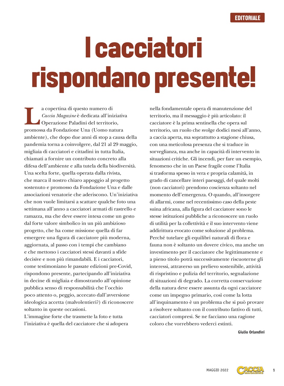 Caccia Magazine Preview Pages