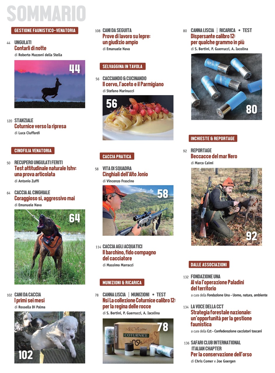 Caccia Magazine Preview Pages