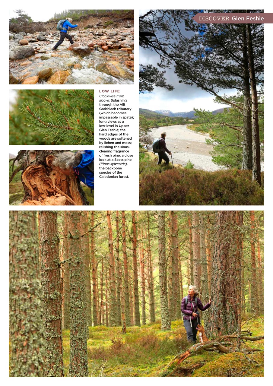 Country Walking Preview Pages