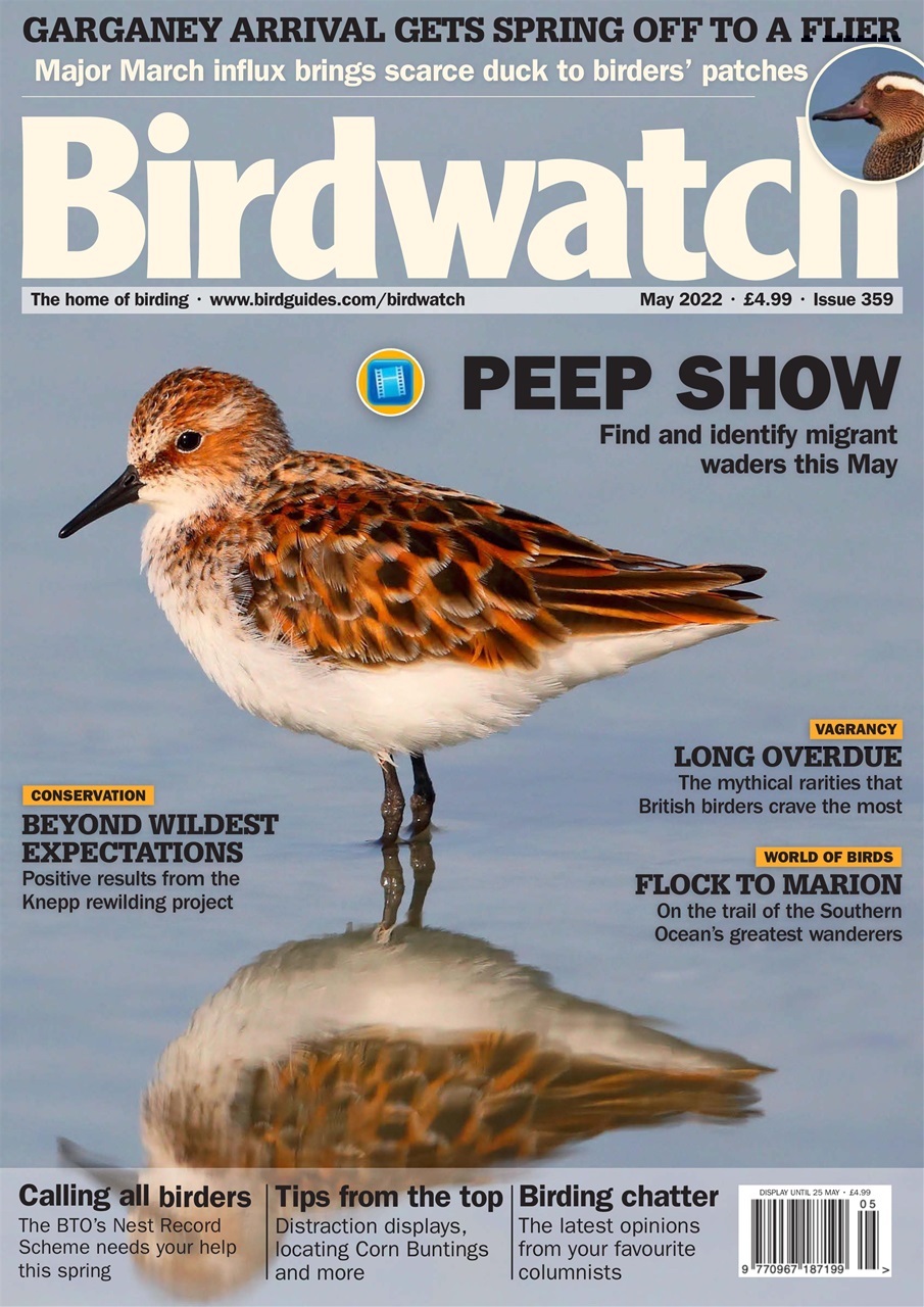 Birdwatch Magazine Preview Pages
