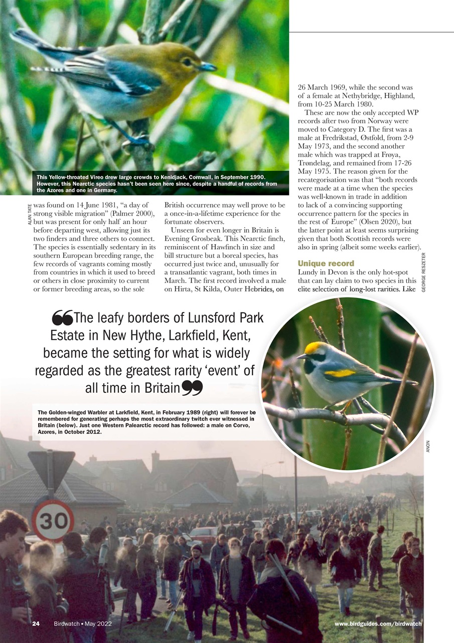 Birdwatch Magazine Preview Pages