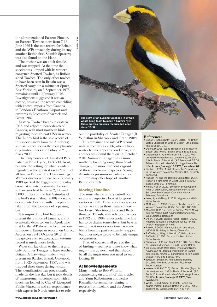 Birdwatch Magazine Preview Pages