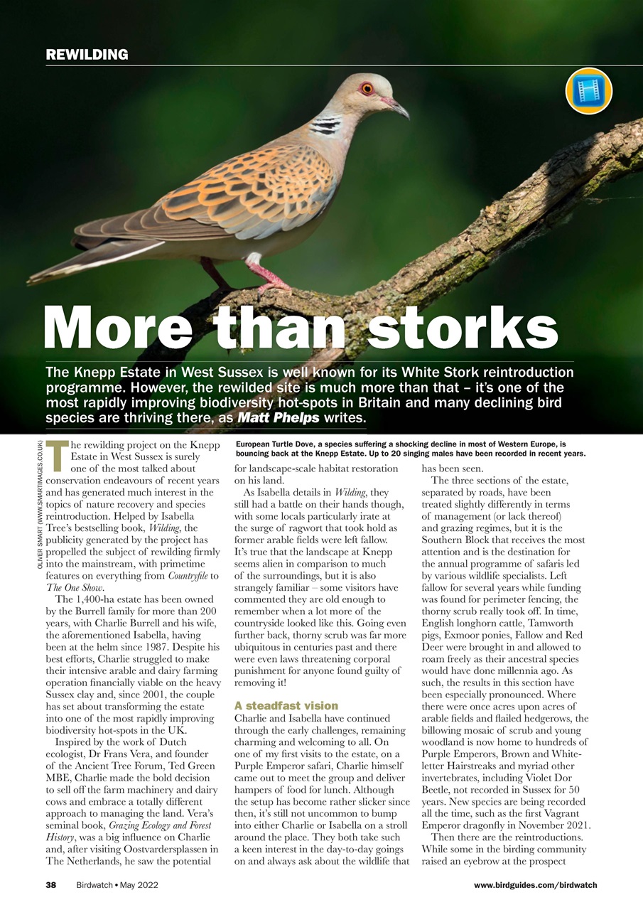 Birdwatch Magazine Preview Pages