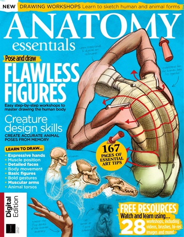 Creative Bookazine issue Anatomy Essentials Twelfth Edition