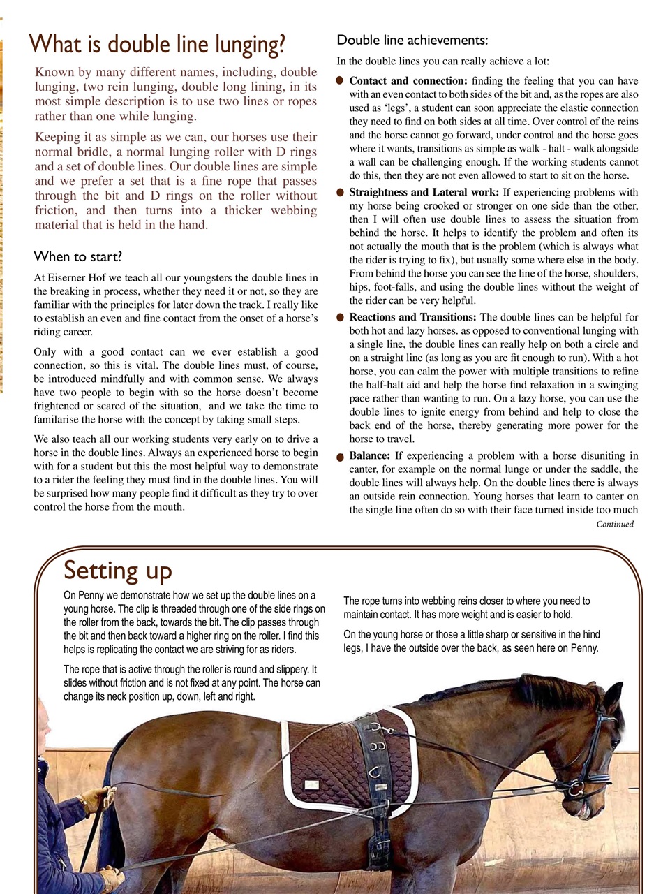 Hoofbeats Preview Pages