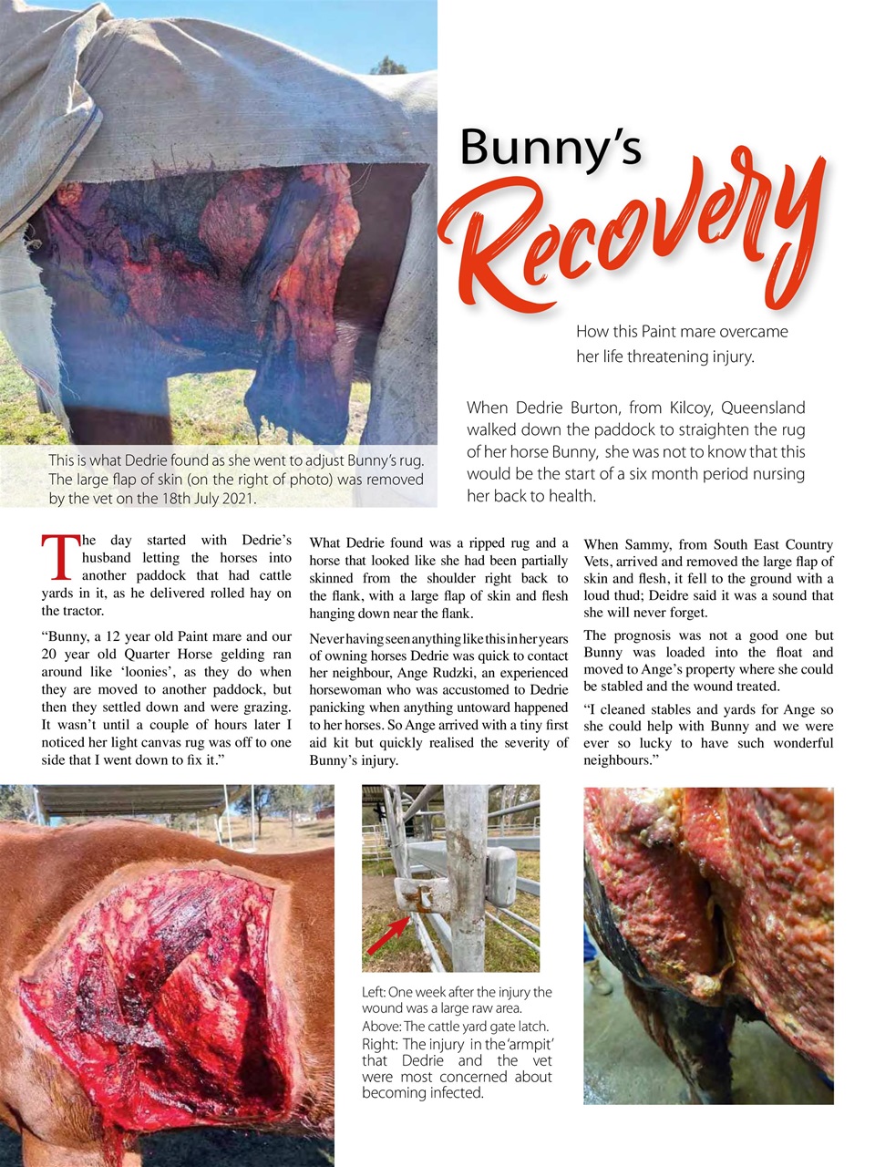 Hoofbeats Preview Pages