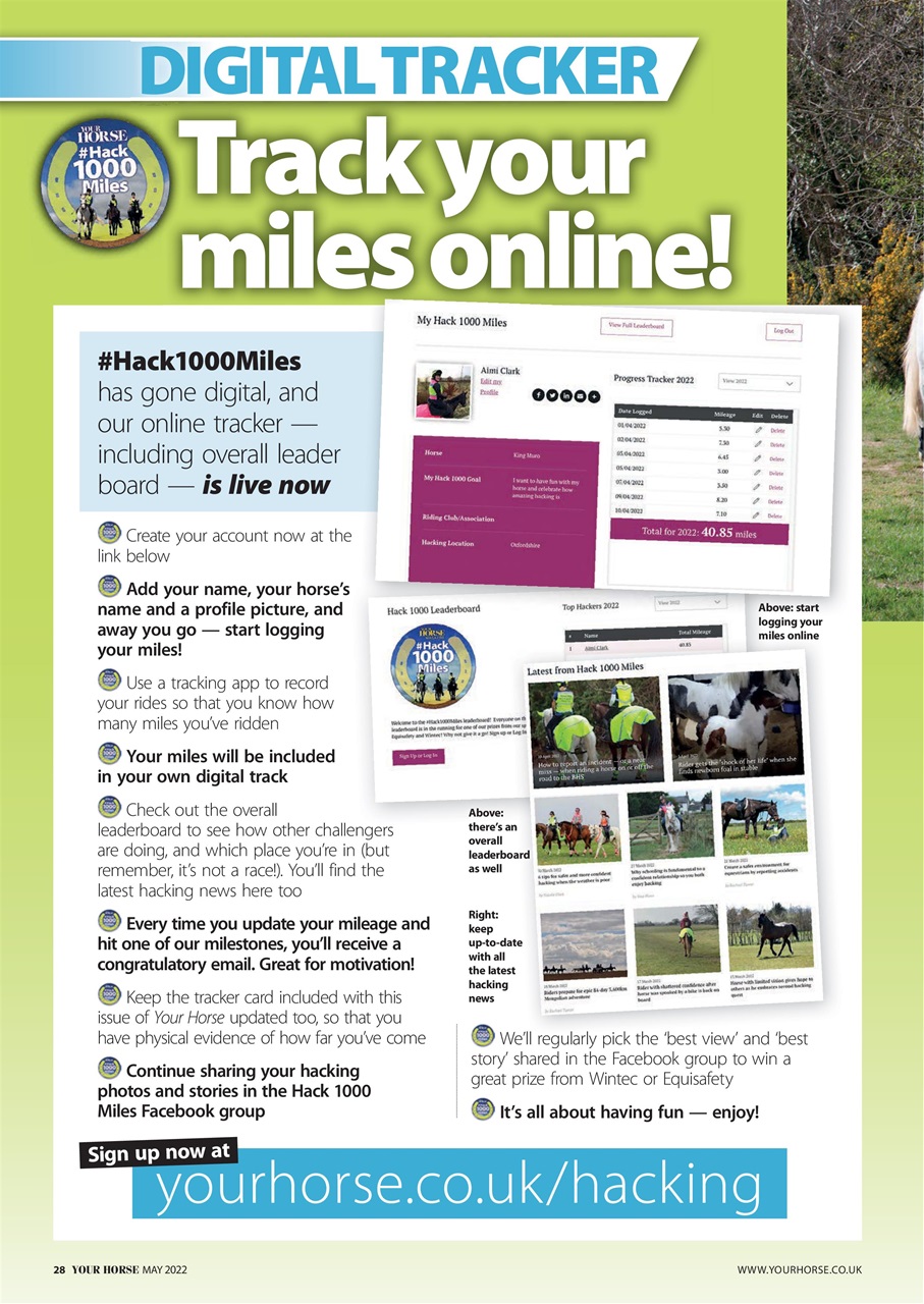 Your Horse Preview Pages