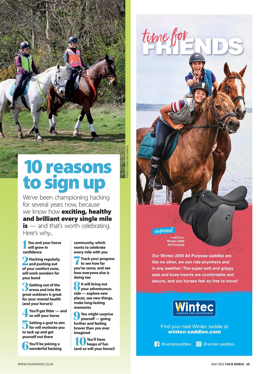 Your Horse Preview Pages