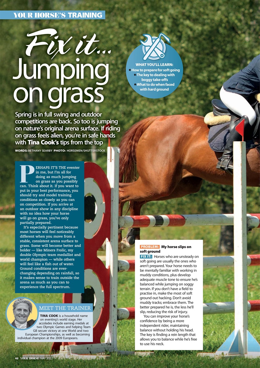 Your Horse Preview Pages