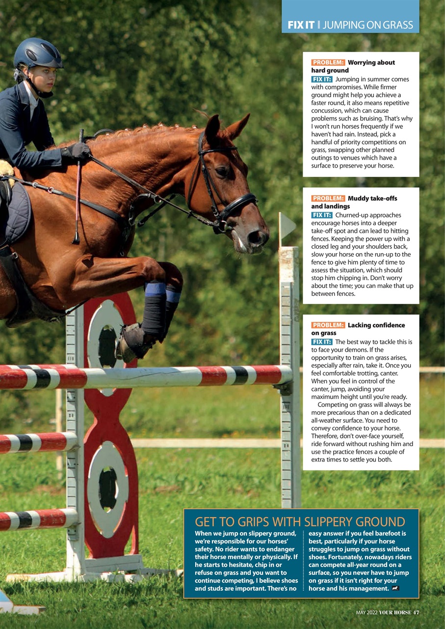 Your Horse Preview Pages