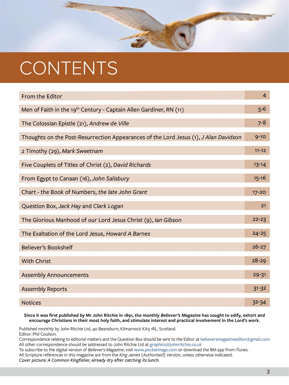 Believer Magazine Preview Pages