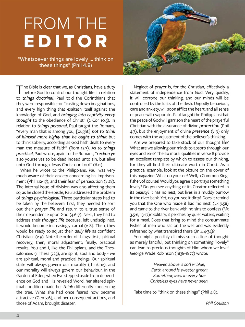 Believer Magazine Preview Pages