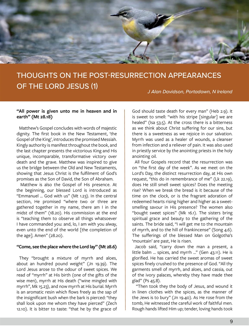 Believer Magazine Preview Pages