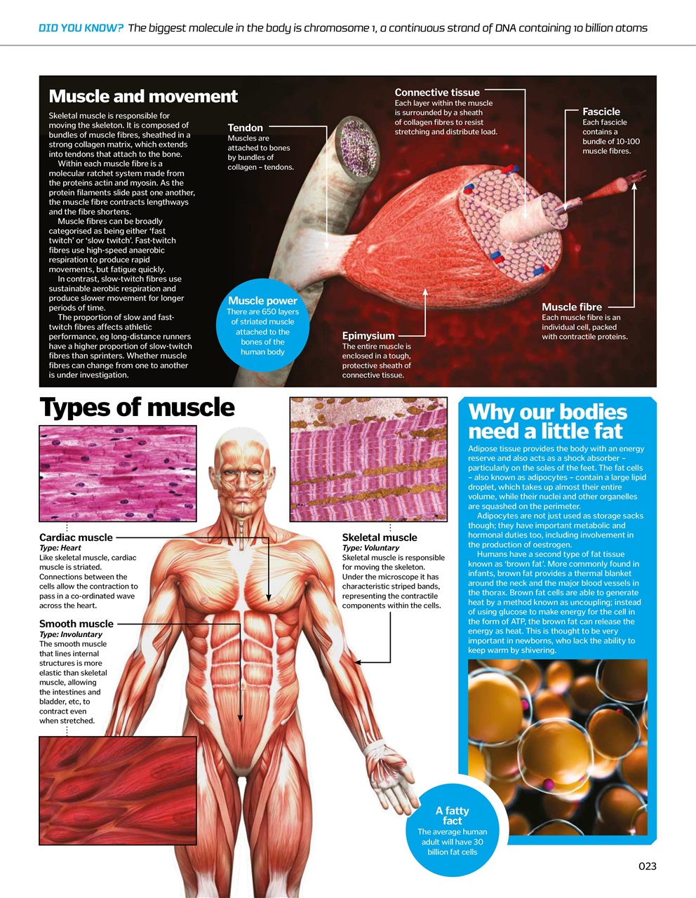 How It Works Bookazine Preview Pages