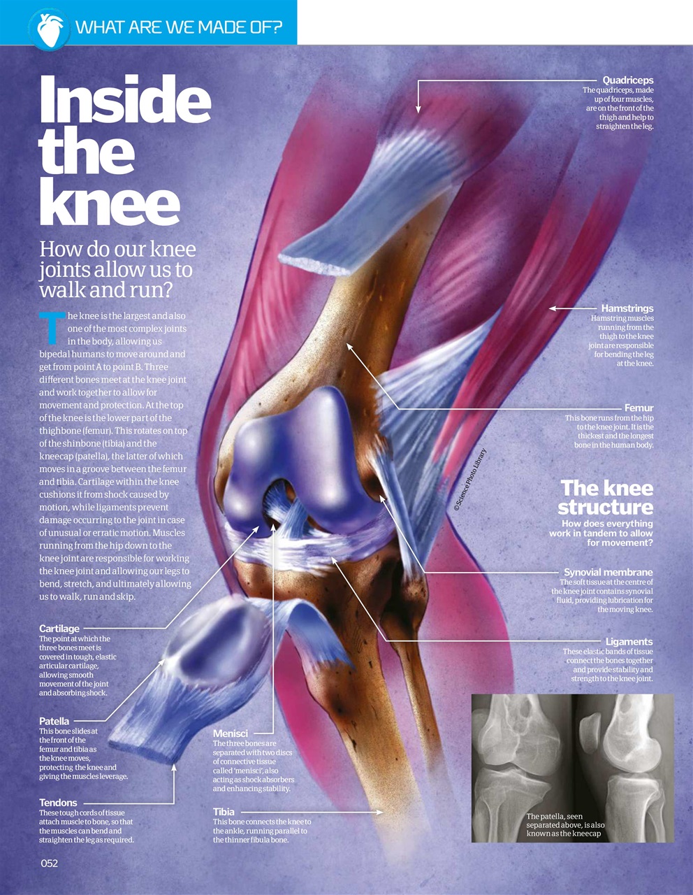 How It Works Bookazine Preview Pages