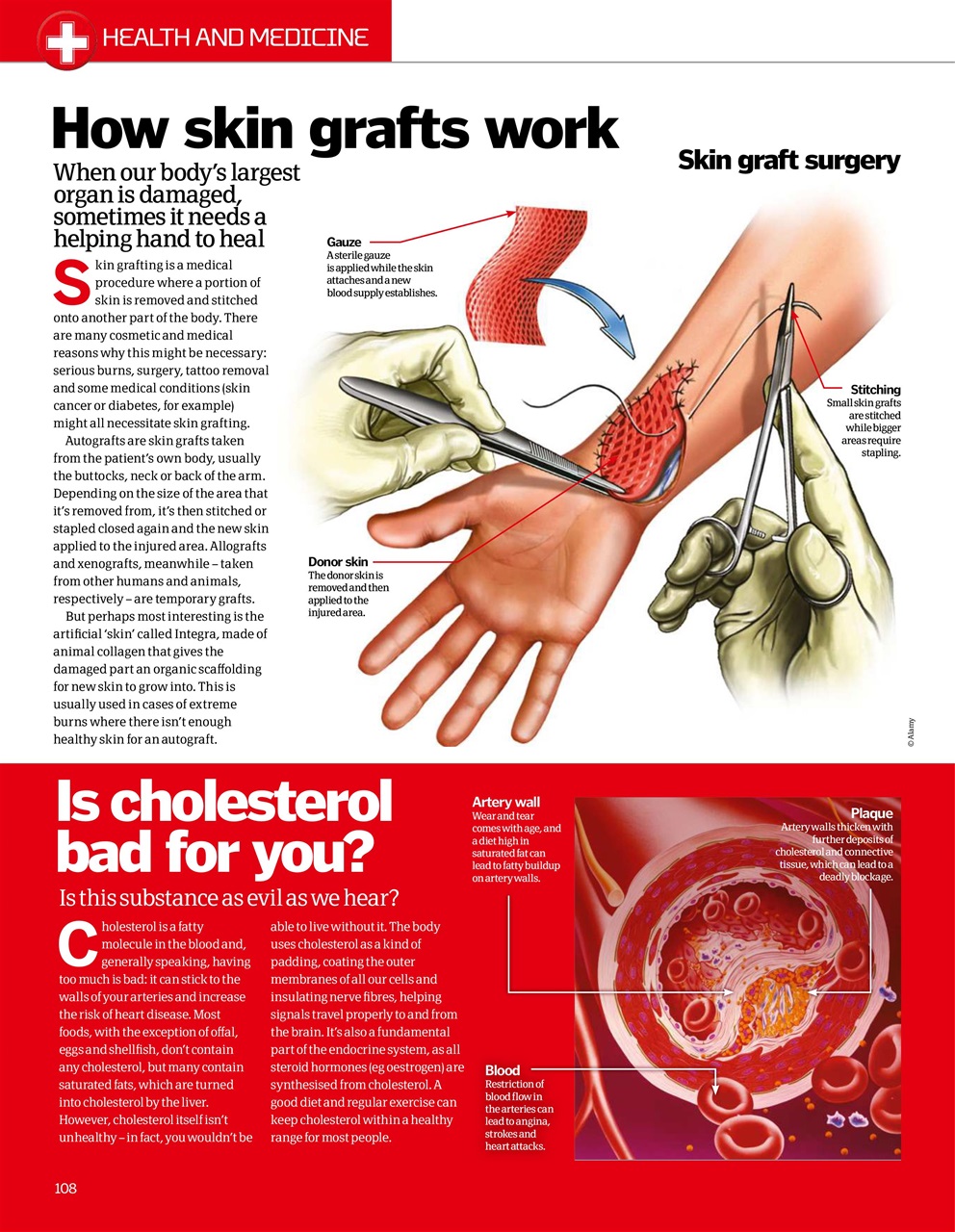 How It Works Bookazine Preview Pages