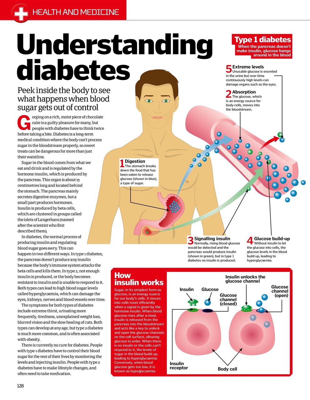 How It Works Bookazine Preview Pages